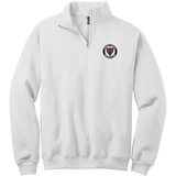 Hazel Park Bears NuBlend 1/4-Zip Cadet Collar Sweatshirt