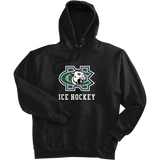 FRC Colts Neck Ultimate Cotton - Pullover Hooded Sweatshirt